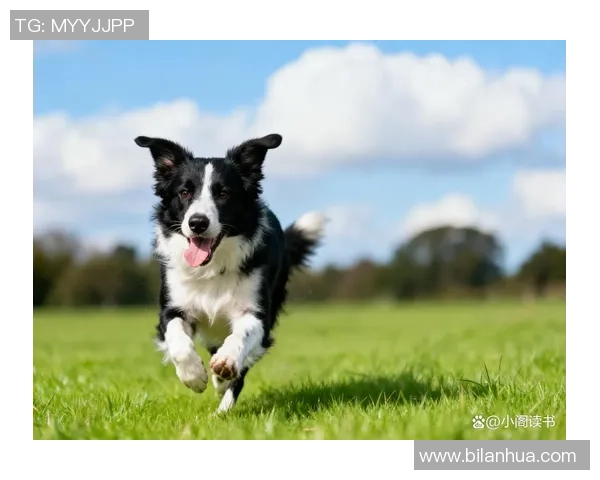 足球现役球星外号揭秘：从小跳蚤到葡萄牙闪电他们的代号背后故事