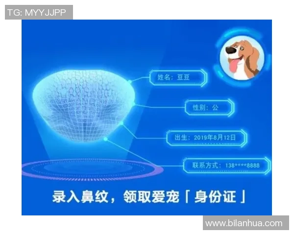 足球球星证件卡全解析 探秘球场背后的专属身份与价值